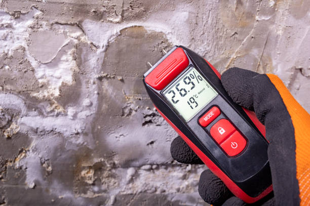 Best Emergency Mold Removal  in Pahrump, NV
