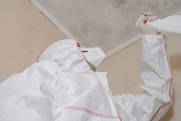 Best Professional Mold Removal  in Pahrump, NV